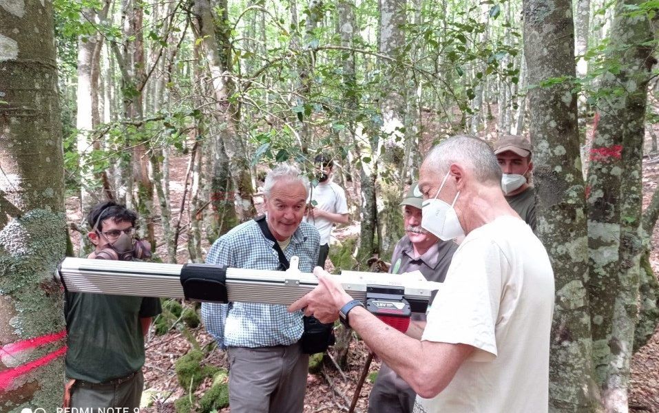 El Grupo Oerativo FAGUS organiza una jornada sobre la revalorización del haya