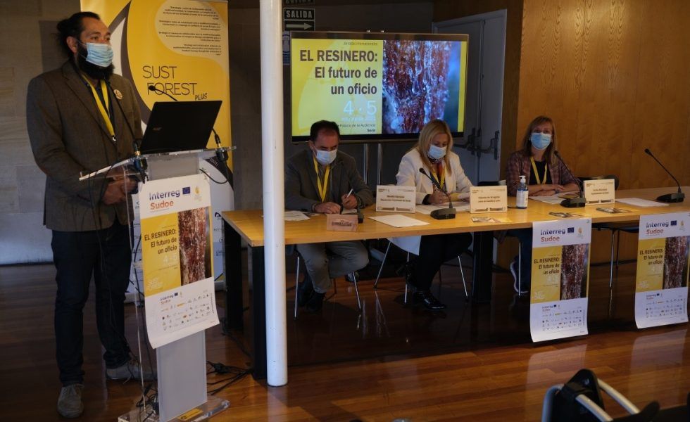 La resinación: Un trabajo duro y con poco reconocimiento social