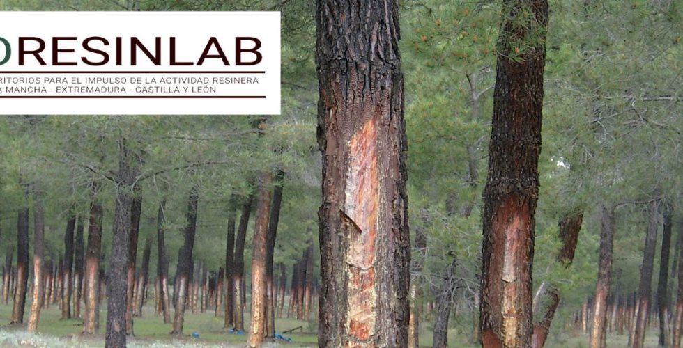 GO-RESINLAB, un laboratorio experimental para mejorar el aprovechamiento de la resina