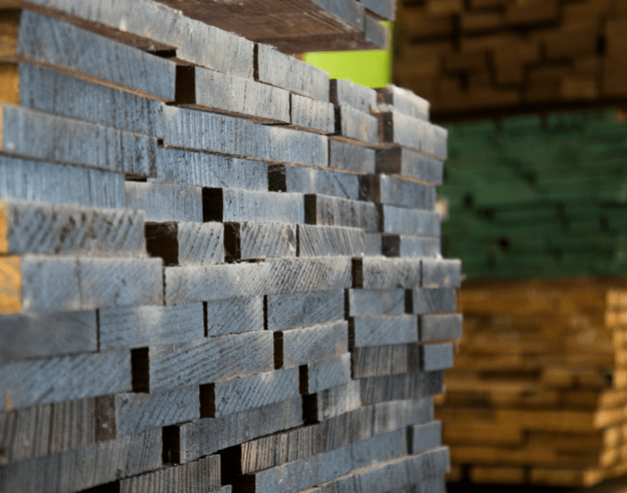 Publicado el Reglamento Europeo contra la deforestación