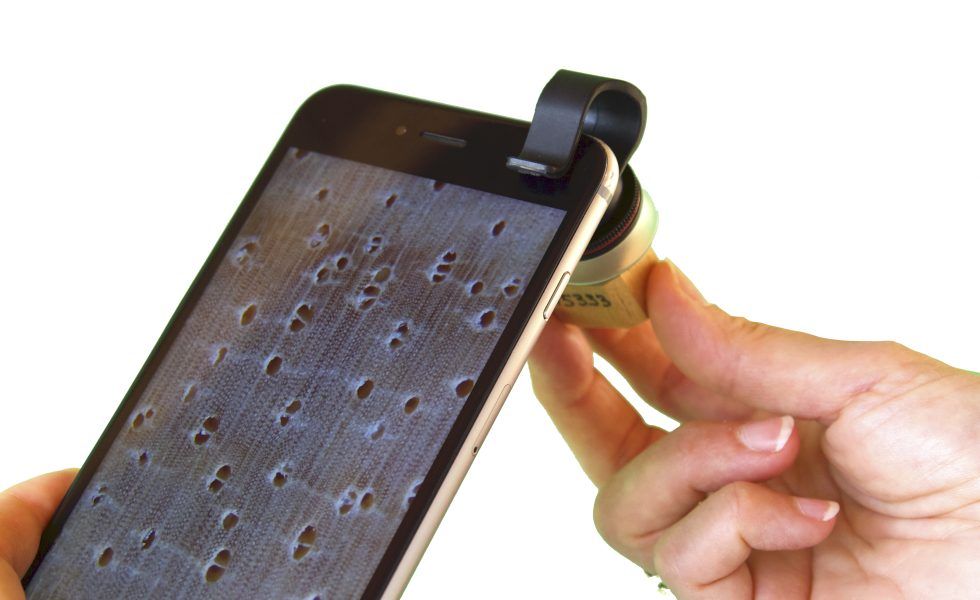 Identificación de maderas por dispositivo móvil