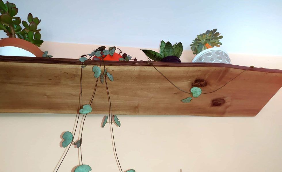 Tablas de nogal y cerezo de WOODNA Maderas Naturales