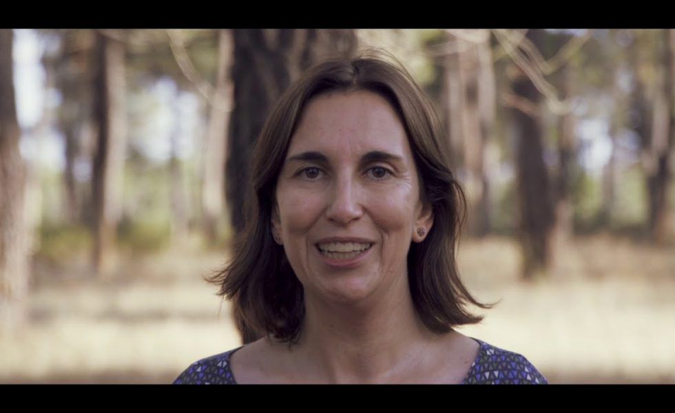 Cine Club y Debate: El papel del selvicultor activo en la gestión forestal