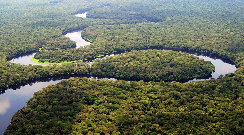 PAFC anuncia la creación de un Sistema de Certificación Unico en la Cuenca del Congo