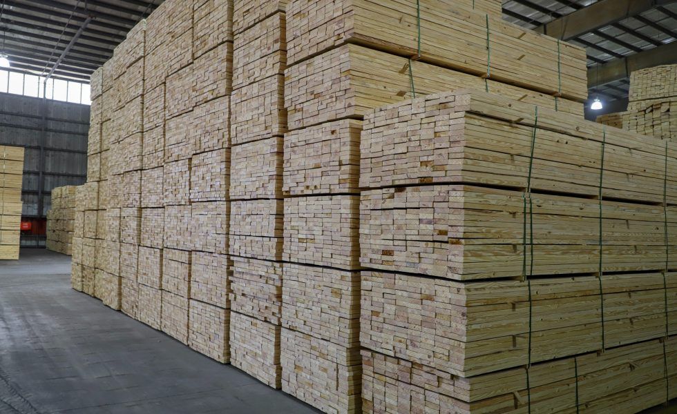 Las especies de madera más solicitadas para productos en 2022 han sido pino, abeto y roble