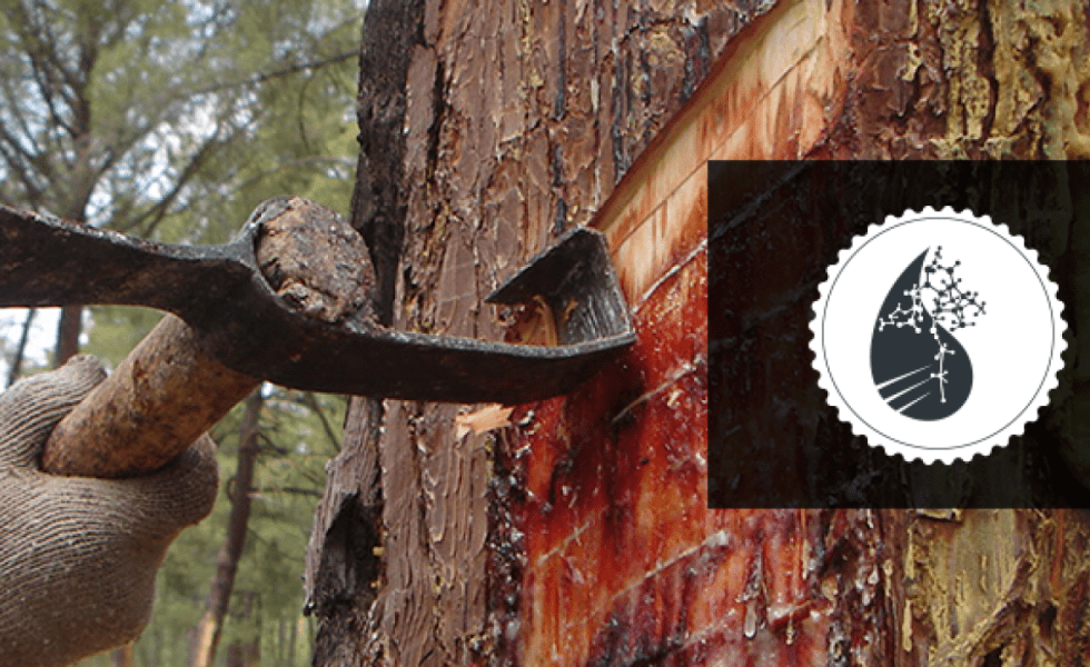 Establecidas las bases de la marca de garantía de origen de las resinas naturales europeas