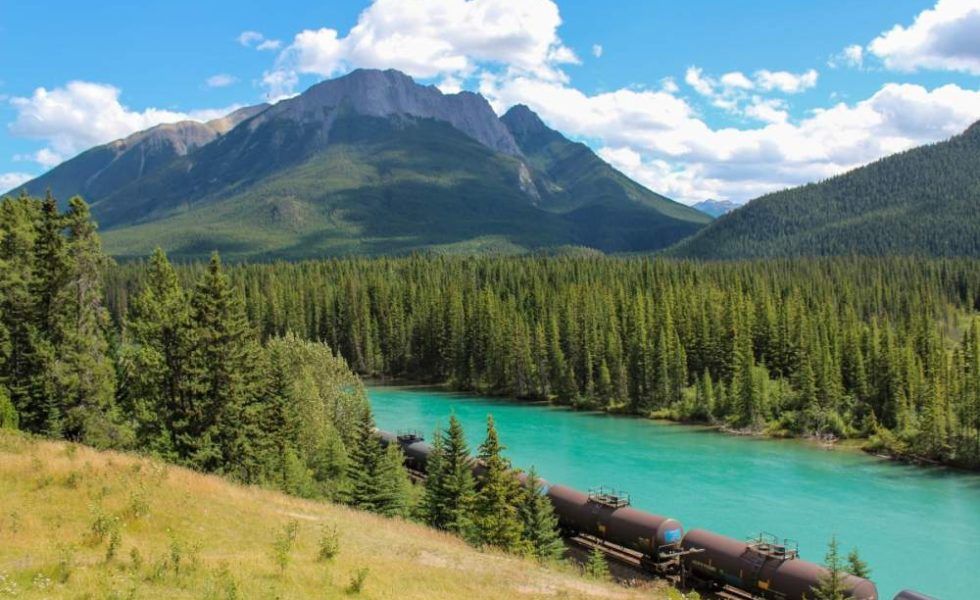 Encuentro virtual entre agentes del sector forestal de Canadá y España