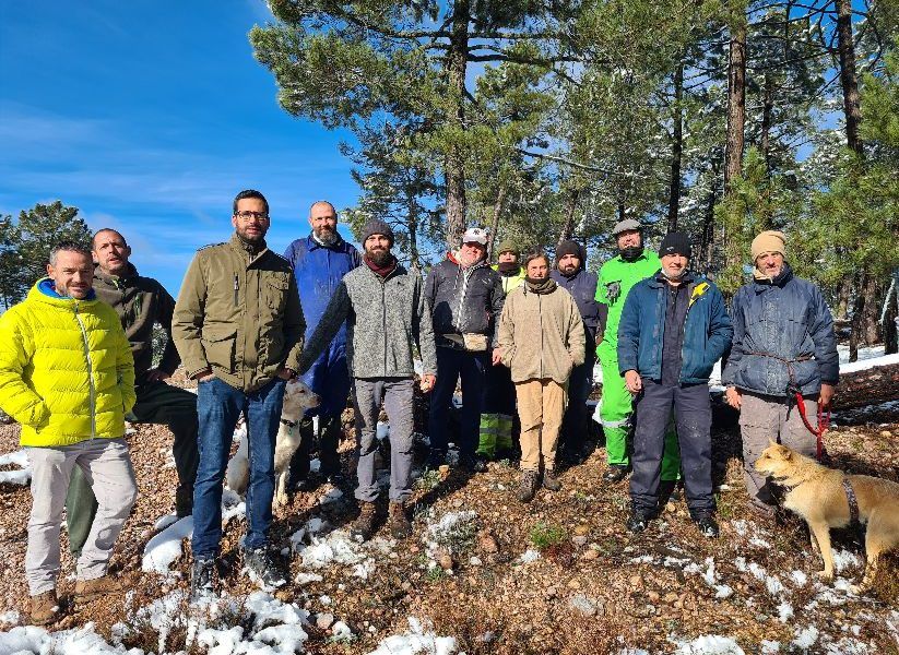 Un curso de la Diputación de Guadalajara forma a 14 nuevos resineros