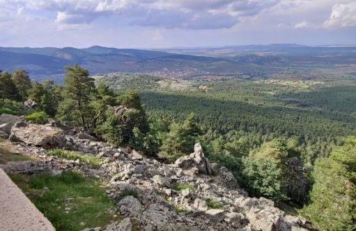 Un mercado responsable para productos forestales innovadores