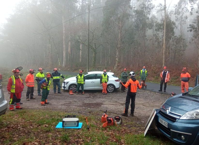 FEARMAGA ofrece un curso de prácticas de uso y mantenimiento de la motosierra