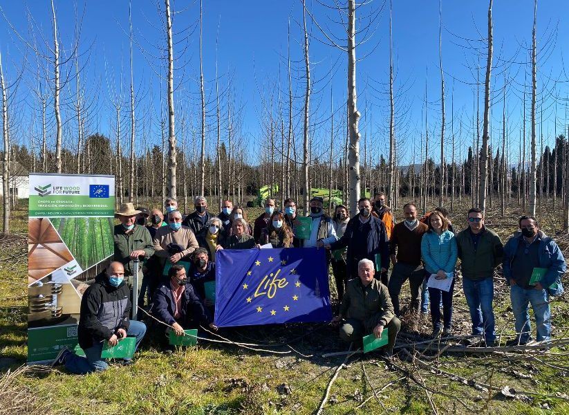 Primera Agrupación de Ecoproductores de Madera de Chopo de España 