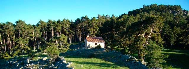 PRORURAL estudiará la optimización económica de los Montes Universales