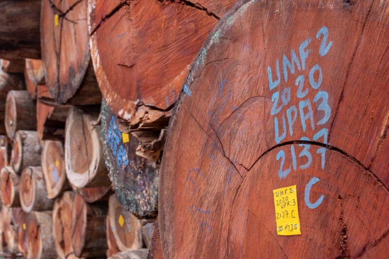 Las cifras del EUTR en la Comunidad Valenciana se presentarán en la jornada de AEIM en Maderalia