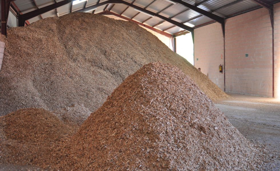 “￼De cómo los bosques pueden reducir nuestra dependencia energética”