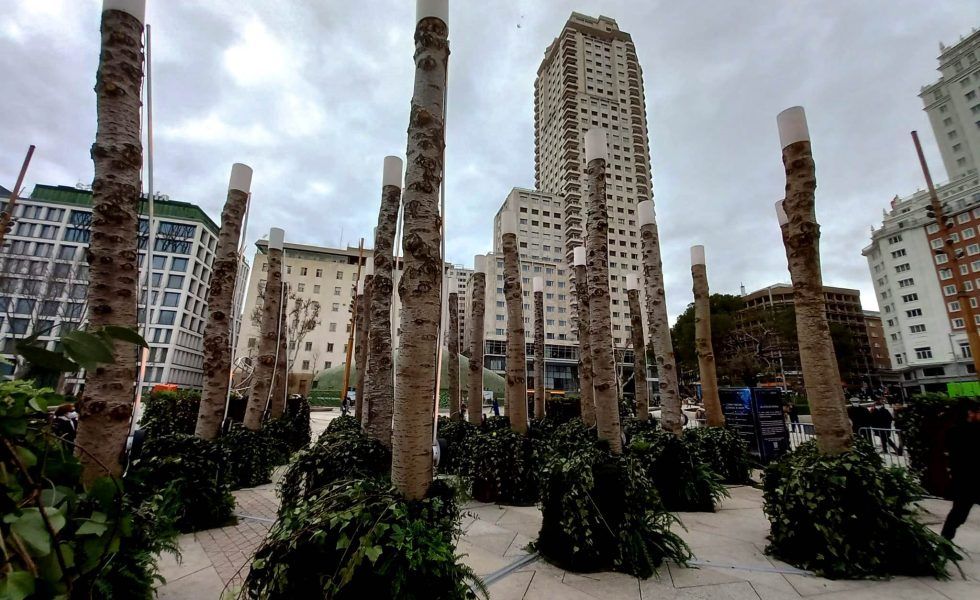 Troncos WOODNA para promocionar la pelicula “El Proyecto Adam”, de NETFLIX