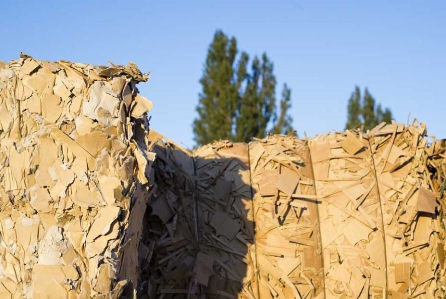 Sustainalytics reconoce a SMURFIT KAPPA como una de las mejores empresas en materia de sostenibilidad