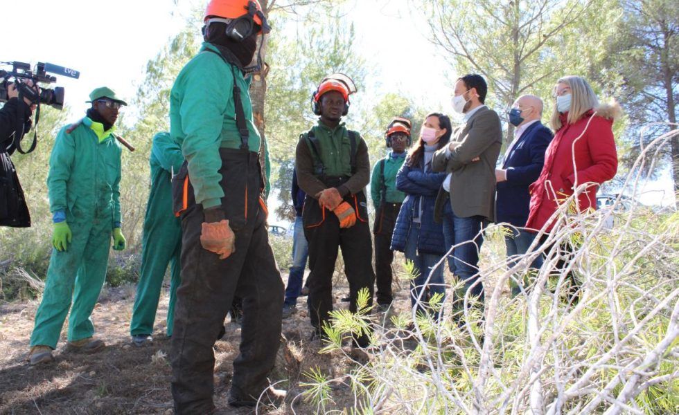 Castilla-La Mancha destinará 20 millones de euros en ayudas para tratamientos selvícolas