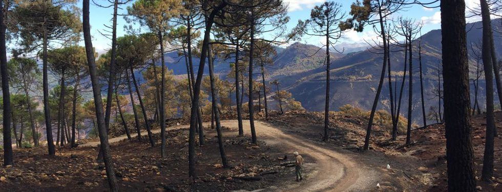 Organizan un taller sobre buenas prácticas preventivas y prevención de incendios