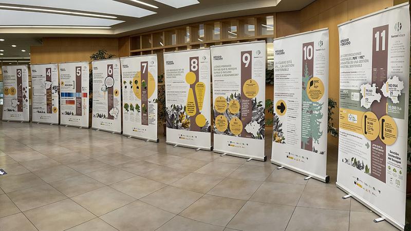 Llega a Soria la exposición “Los bosques, escudo y refugio frente al cambio climático”