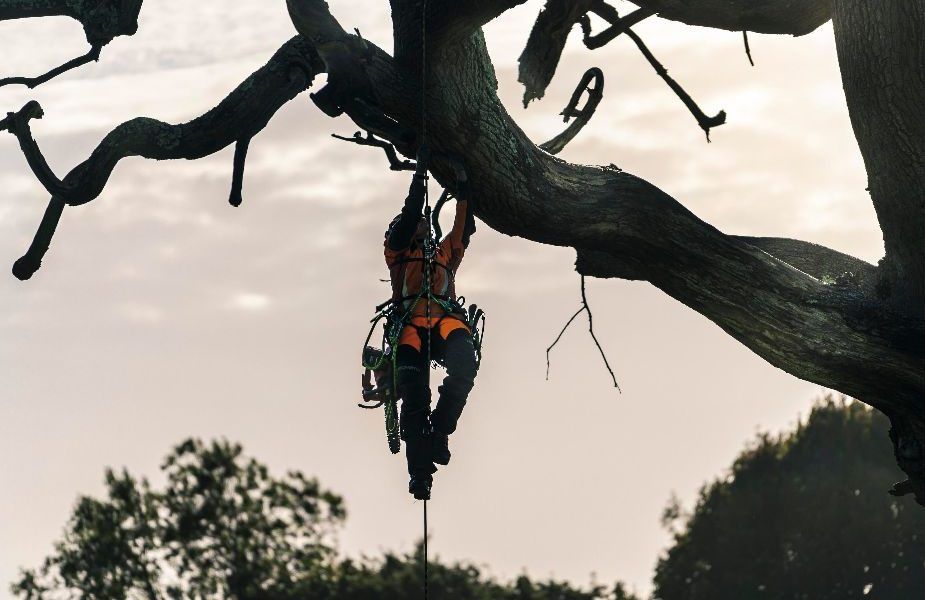 HUSQVARNA colabora con TEUFELBERGER en una línea específica para trabajar en altura