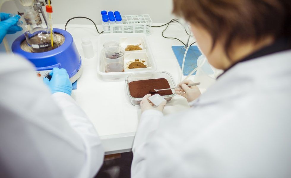 La lignina demuestra su potencial como precursor sostenible para química industrial