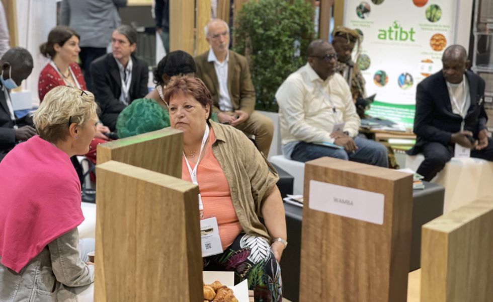 La madera tropical, protagonista en el CARREFOUR DU BOIS