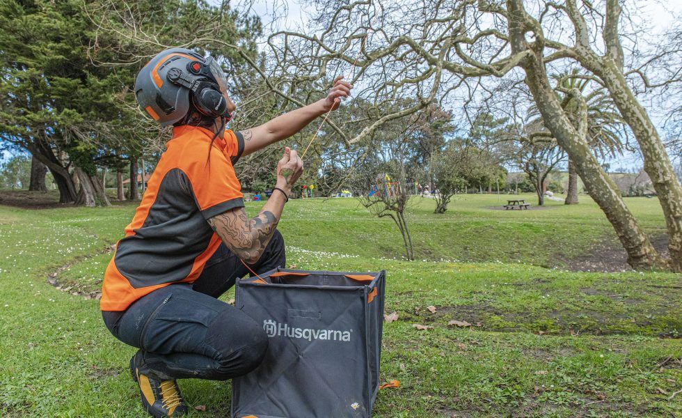 Comienza el tour español de talleres especializados de arboricultura