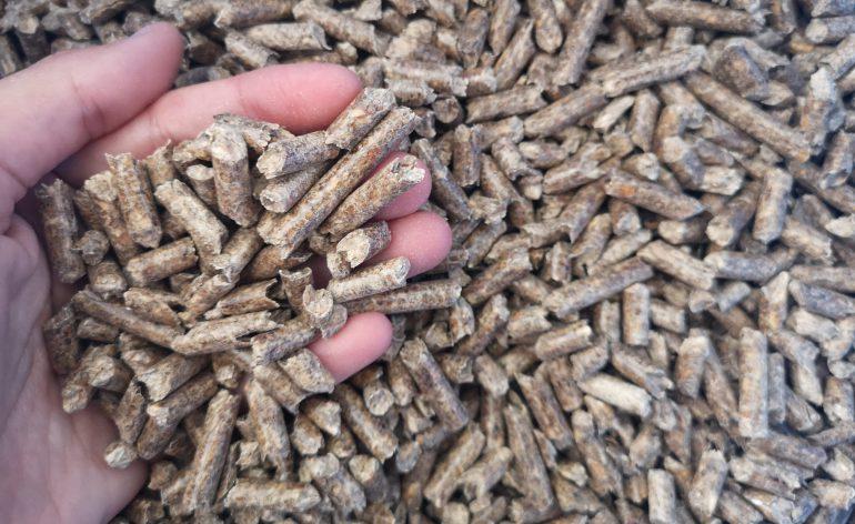 La industria del pellet necesita movilización de madera para garantizar el suministro