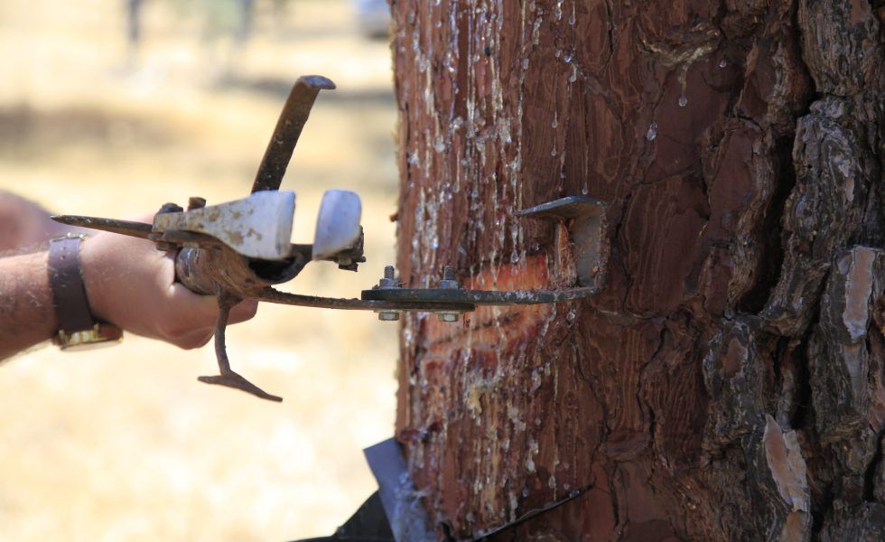 RESINLAB presentará sus resultados finales en una jornada de clausura en Castilla y León