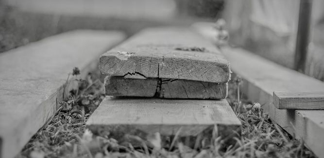 La regeneración de los suelos, clave para una producción sostenible de madera