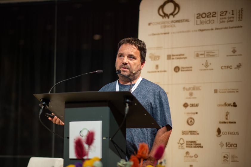 La gestión forestal como medida para combatir incendios extremos