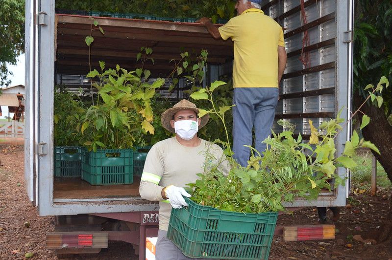 BONA se asocia con WeForest para plantar árboles y restaurar bosques en Brasil