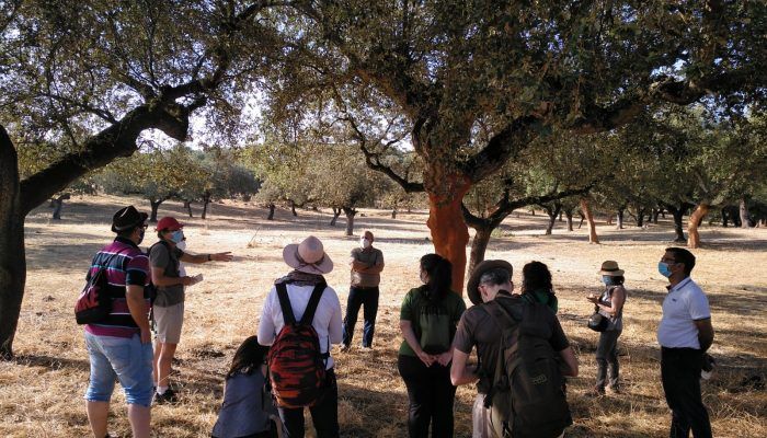 Abiertas las inscripciones para la III edición del curso “Los Bosques en los ODS: una oportunidad para el empleo”