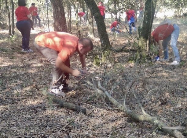 Conservar y gestionar: Bosques limpios