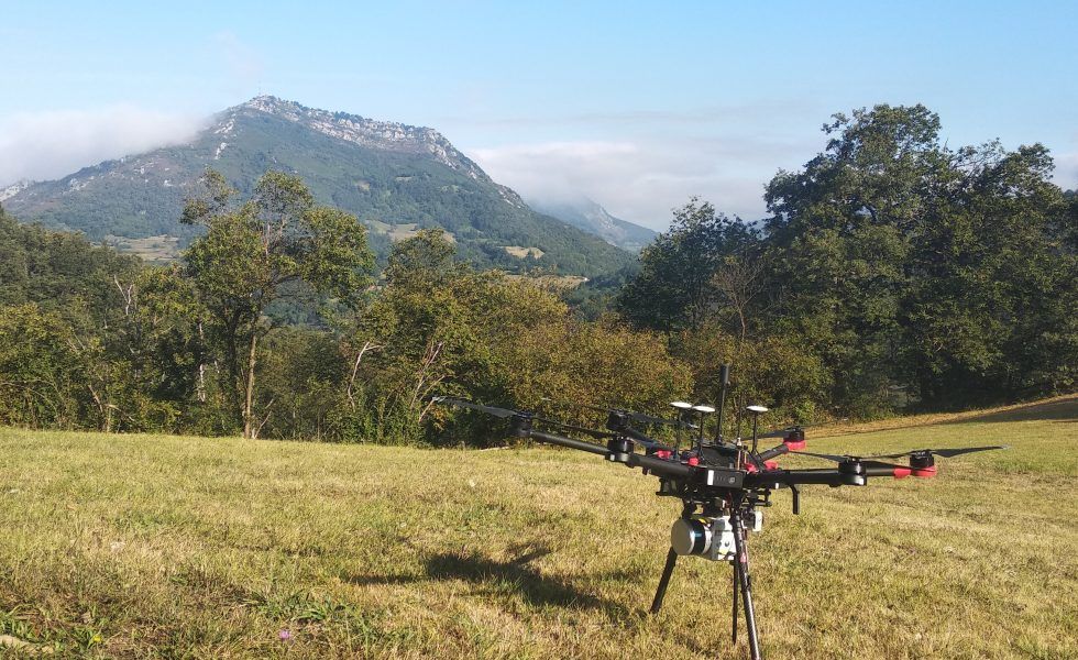 Los drones al servicio de los bosques