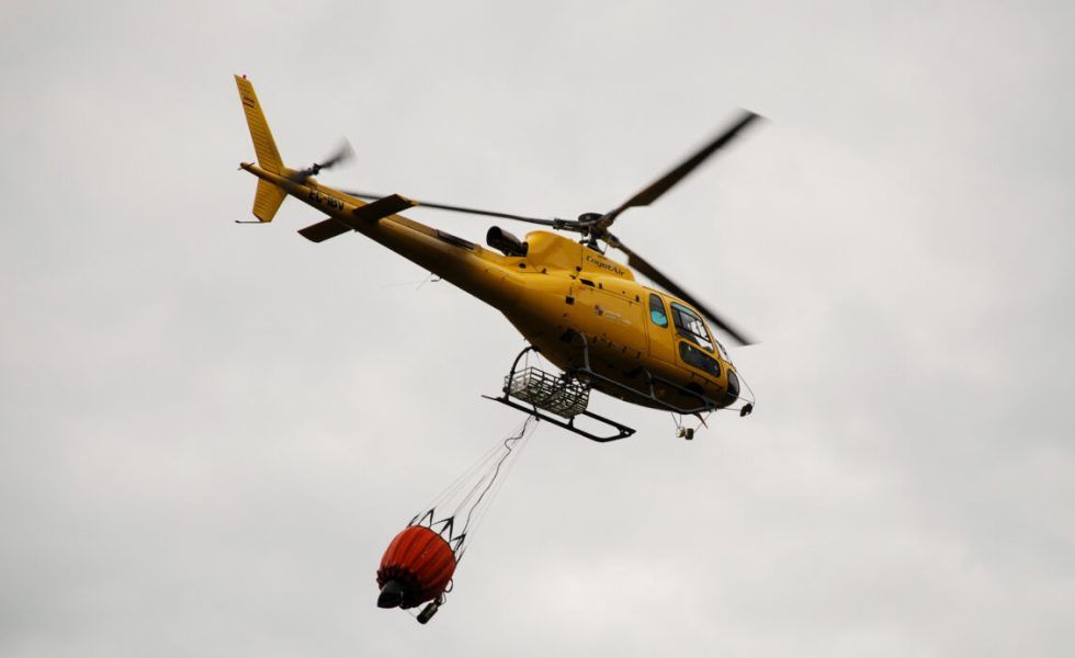 Para que sean otros “pájaros” los que veamos volar