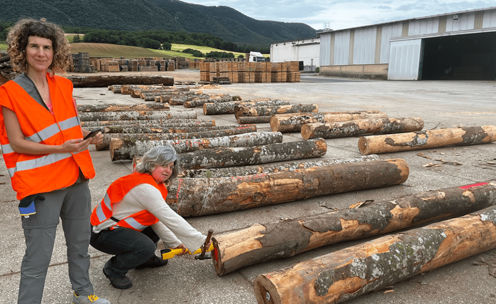 MADERAS GAMIZ se interesa por los resultados del Grupo Operativo FAGUS