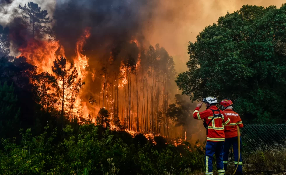El COITF valora la aprobación del nuevo marco estatal de actuación frente a los incendios forestales