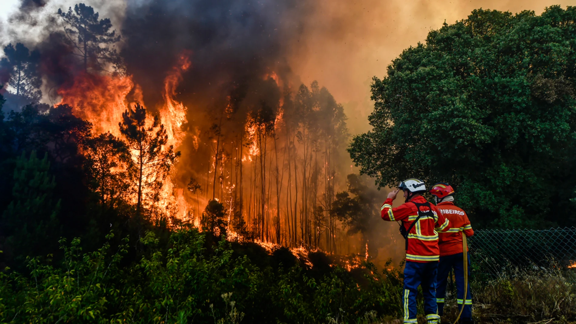El COITF valora la aprobación del nuevo marco estatal de actuación frente a los incendios forestales