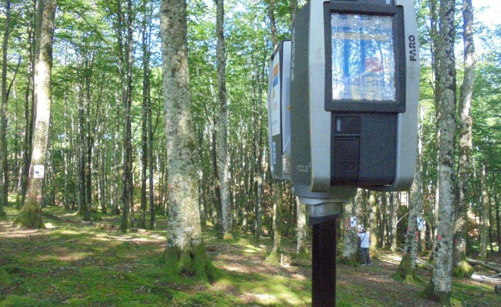 Conclusiones preliminares del informe “Situación actual del haya en España”