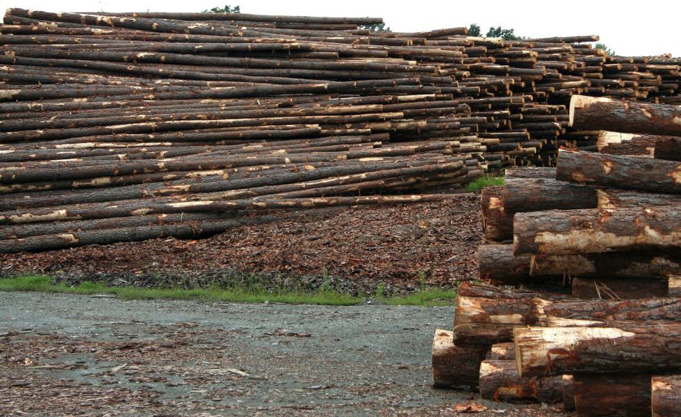 El proyecto WOODMARKETS estará en Feria Hábitat Valencia