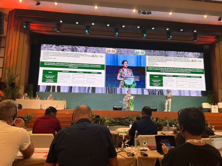 ATIBT se complace en anunciar que la Moción 23 sobre Paisajes Forestales Intactos (IFL) ha sido aprobada