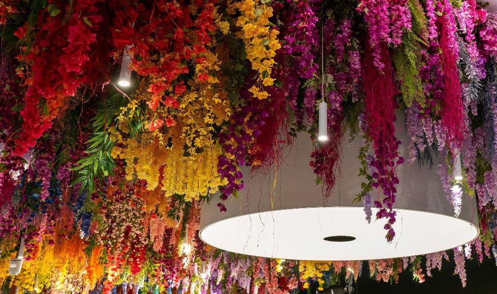 GRASS presenta una web de tendencias en diseño 