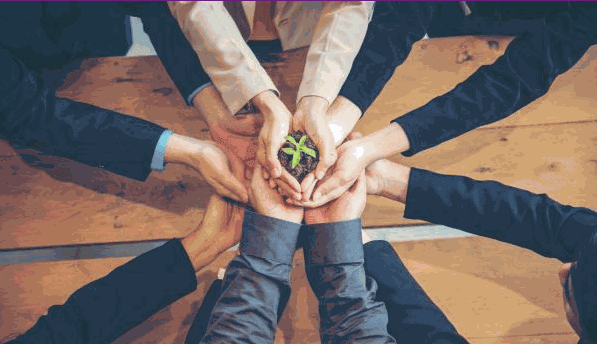 THE GREEN COLLECTION será un espacio para los productos sostenibles en DOMOTEX 2023