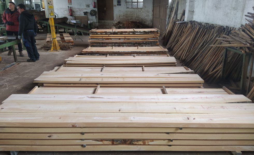 CETEMAS avanza en el estudio de rendimientos industriales y calidades de madera de haya 