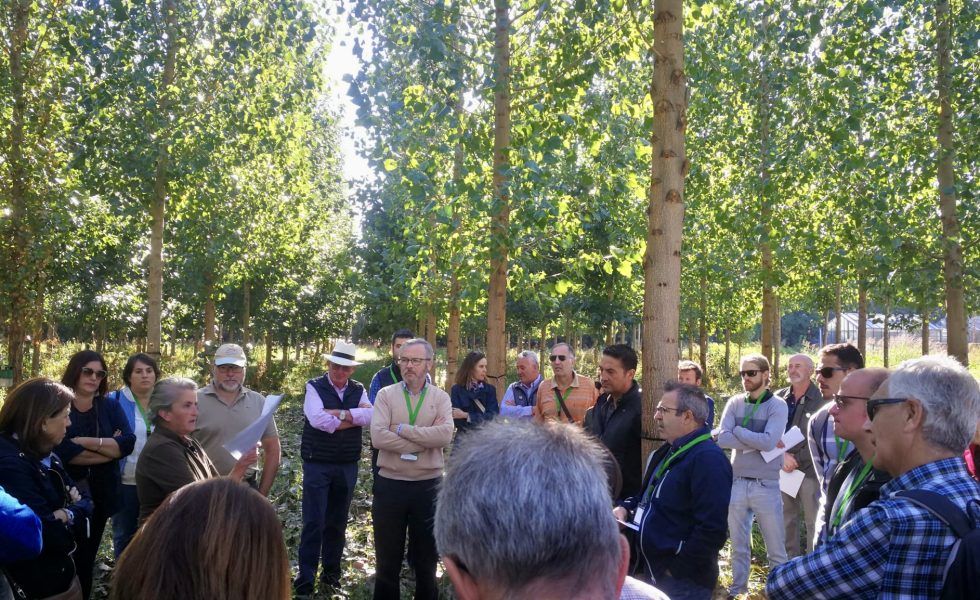 LIFE WOOD FOR FUTURE obtiene el beneplácito de la Junta de Andalucía