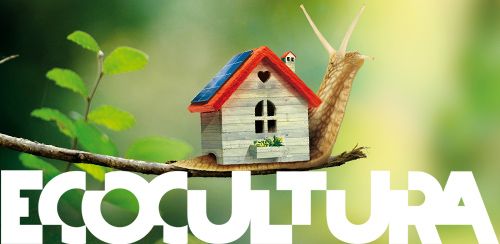 Taller: “Integración de la madera en construcción como oportunidad de negocio en la bioeconomía circular”