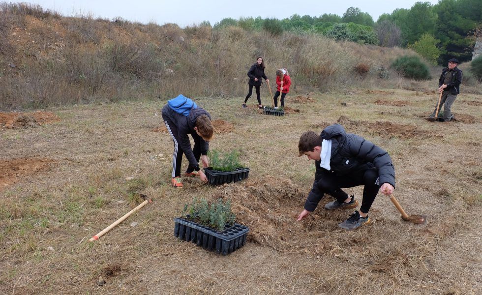 DKV y Plant-for-the-Planet plantan 1.141 árboles en Tarazona