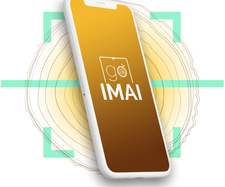 La inclusión de nuevas especies de maderas en CITES pone de relieve la importancia de las nuevas tecnologías para garantizar la transparencia en el comercio internacional