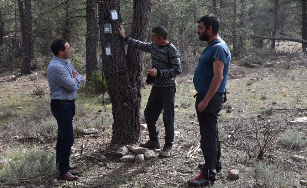 La Diputación de Cuenca ayuda al sector resinero con 24.000 euros